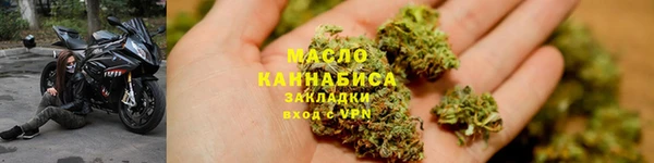 сатива Новозыбков