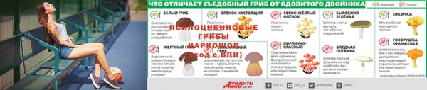 бошки Новокубанск