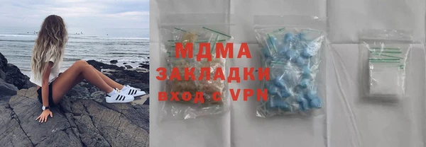 сатива Новозыбков