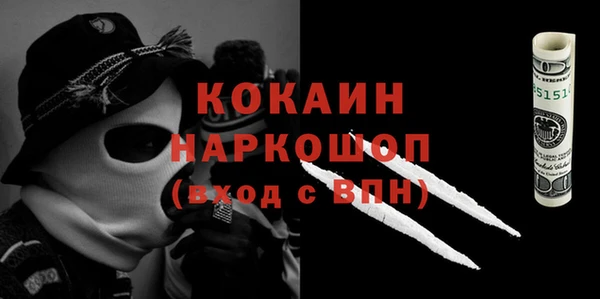сатива Новозыбков