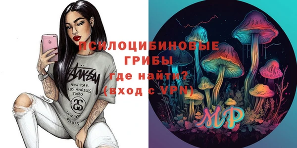 PSILOCYBIN Навашино