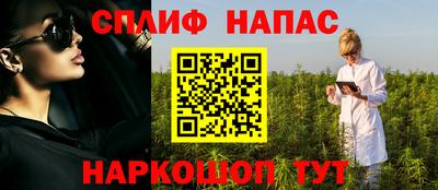 не бодяженный Гай