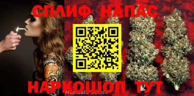 герыч Гагарин