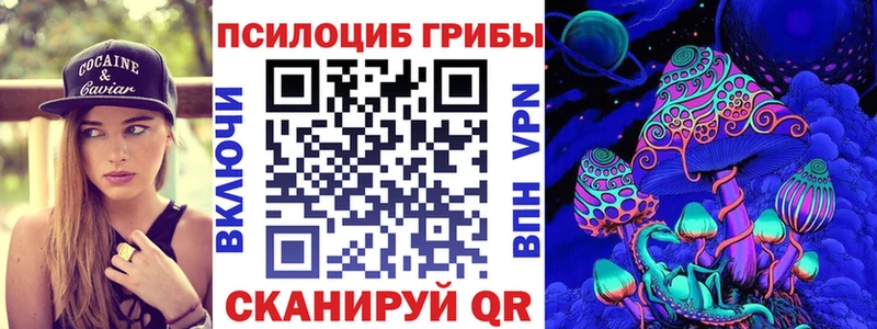гидра ТОР Кандалакша Галлюциногенные грибы Cubensis закладка