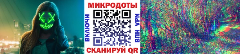 Псилоцибиновые грибы Psilocybine cubensis Кандалакша