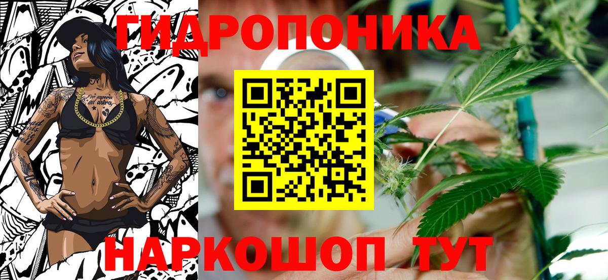 Бошки марихуана Bruce Banner Кандалакша